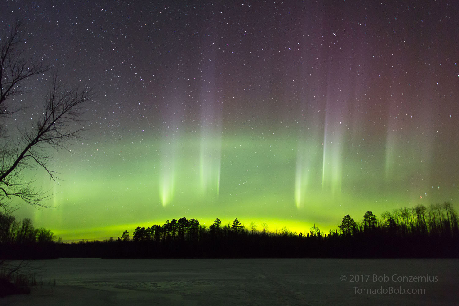 Nice Auroras