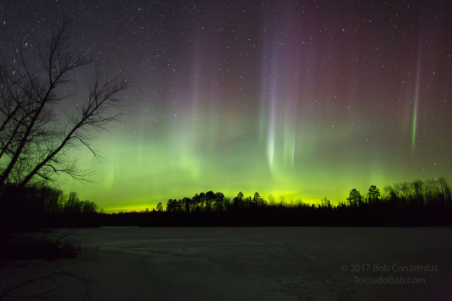 Nice Auroras