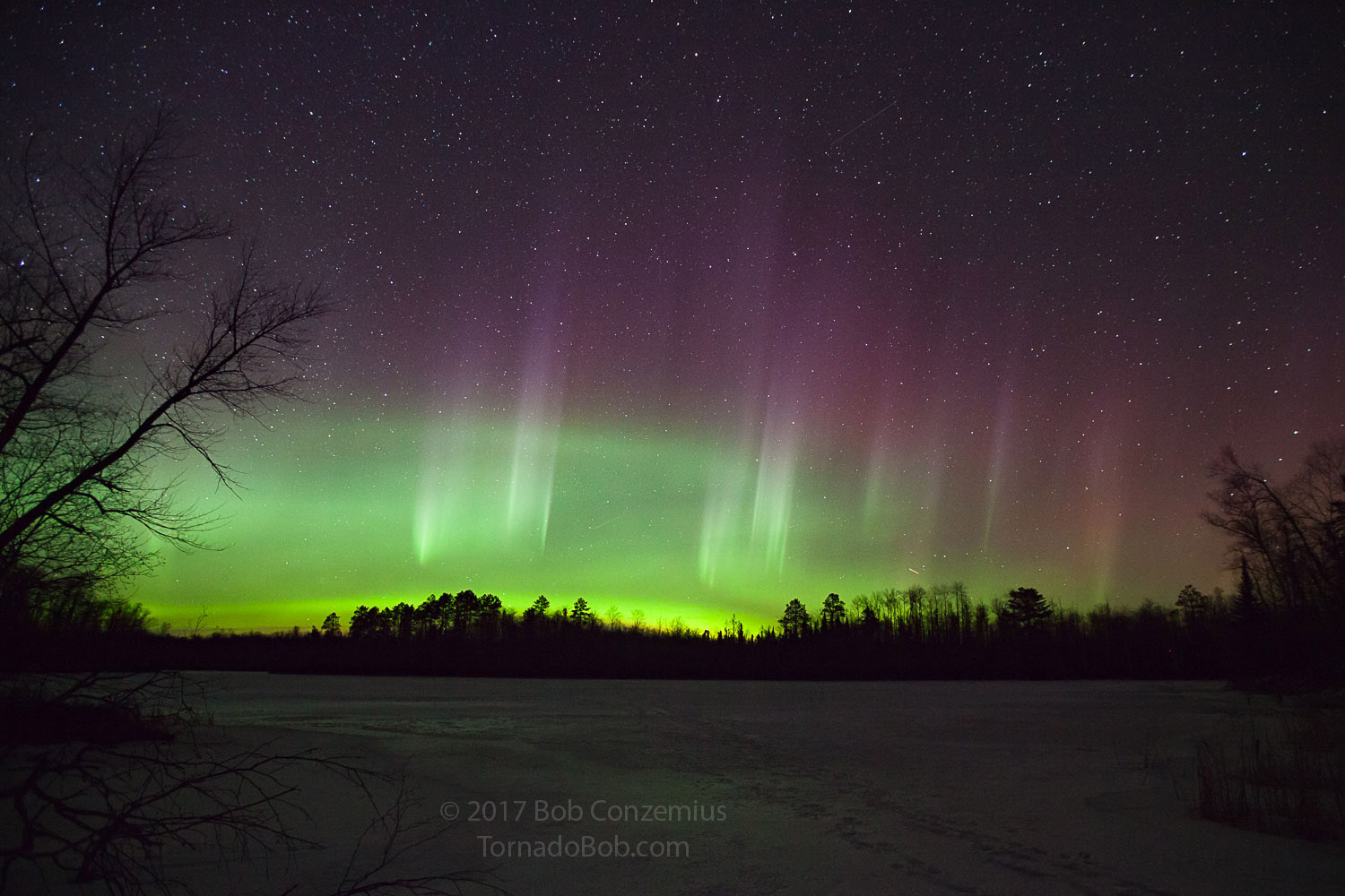 Nice Auroras