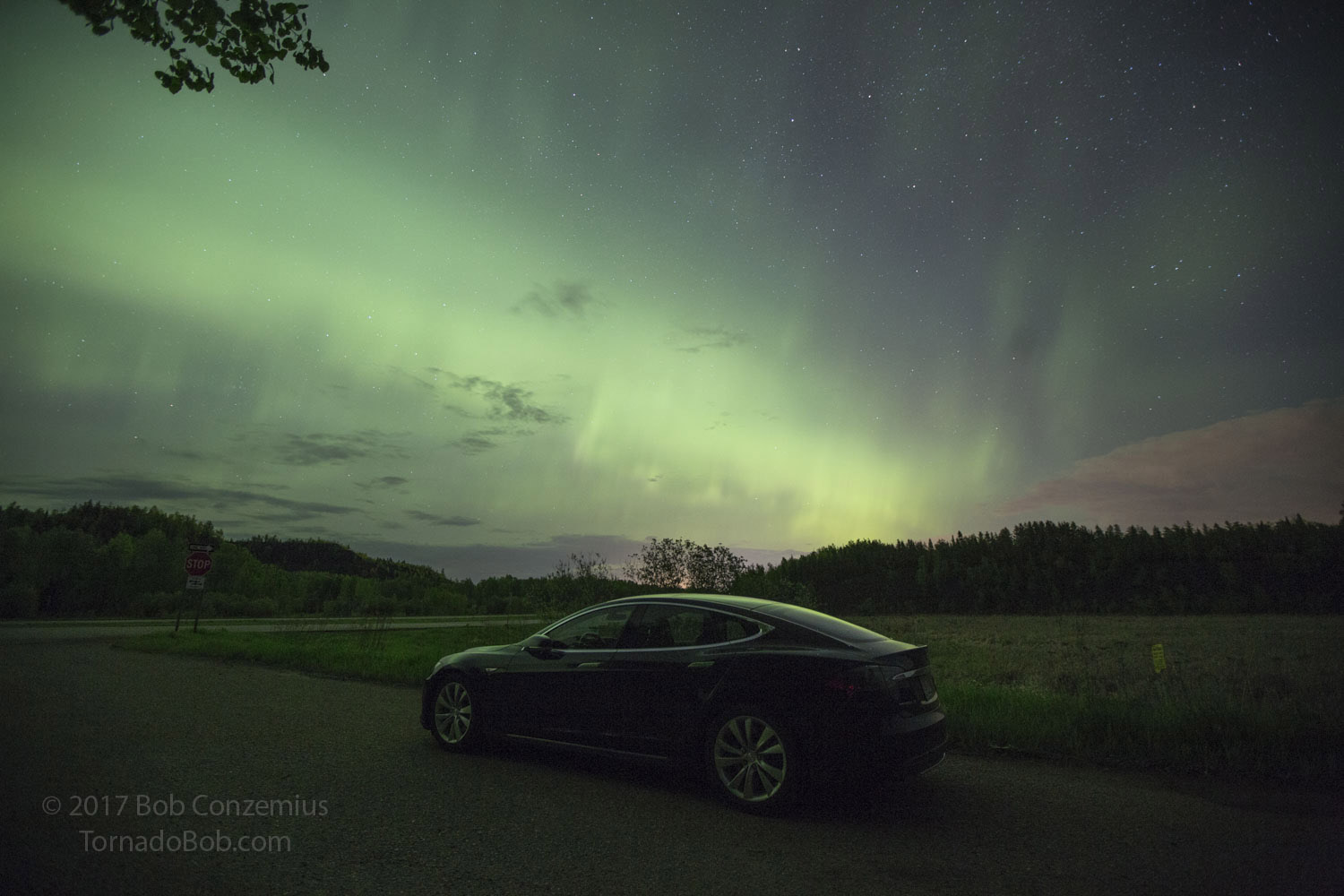 Nice Auroras