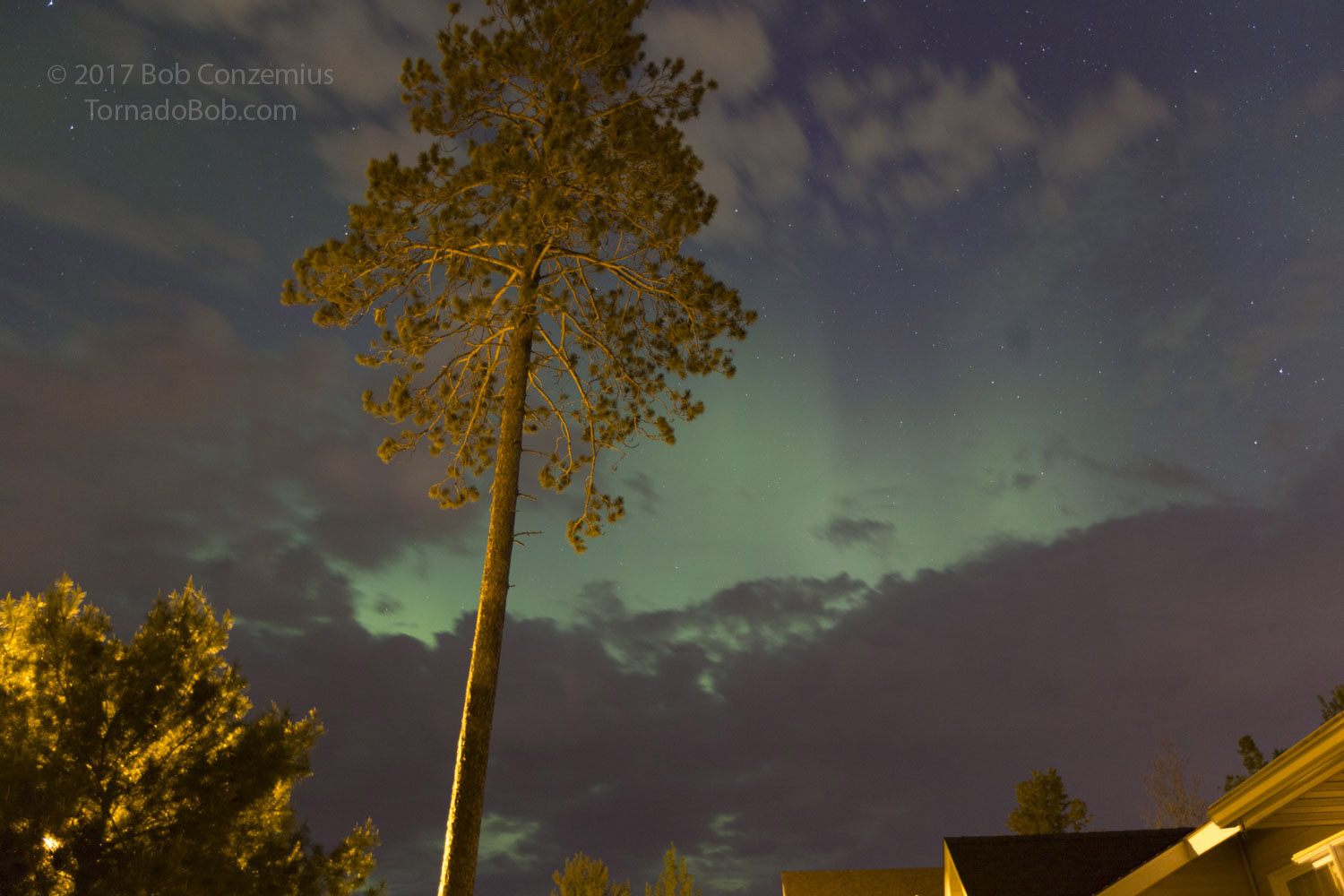 Nice Auroras
