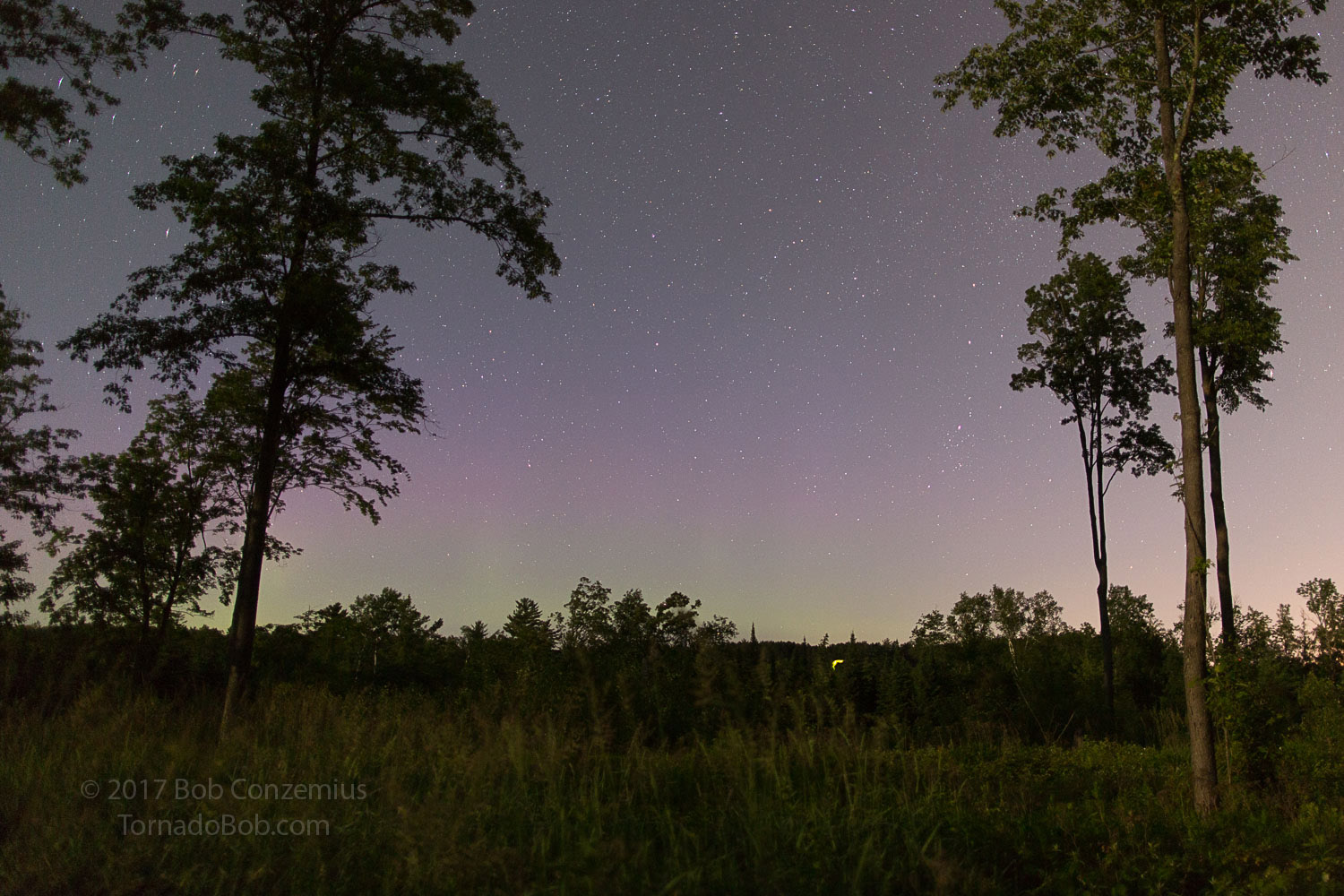 Nice Auroras
