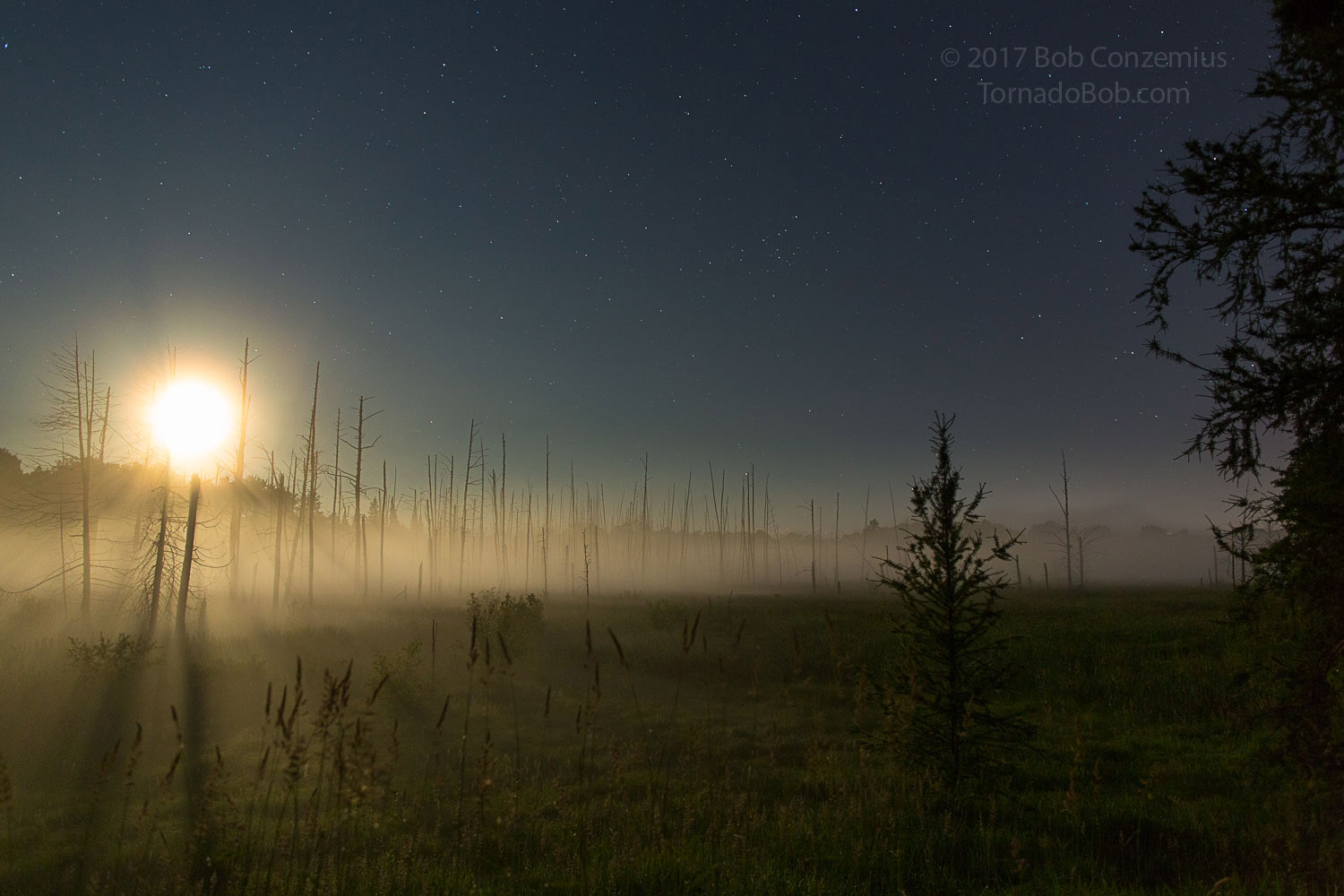 Nice Auroras