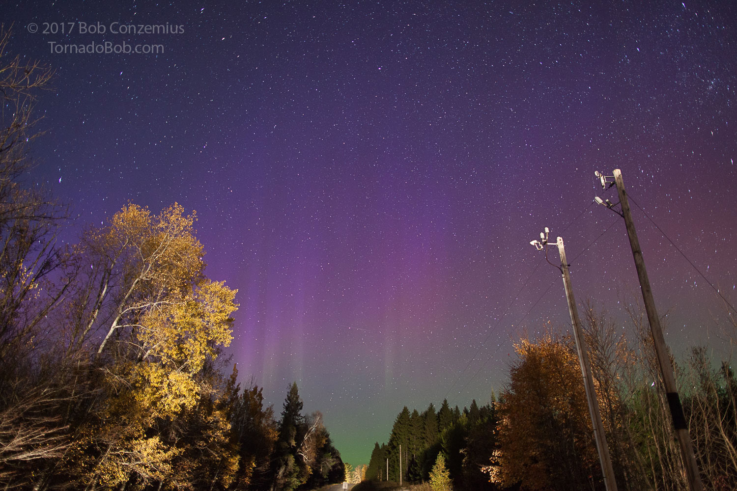 Nice Auroras