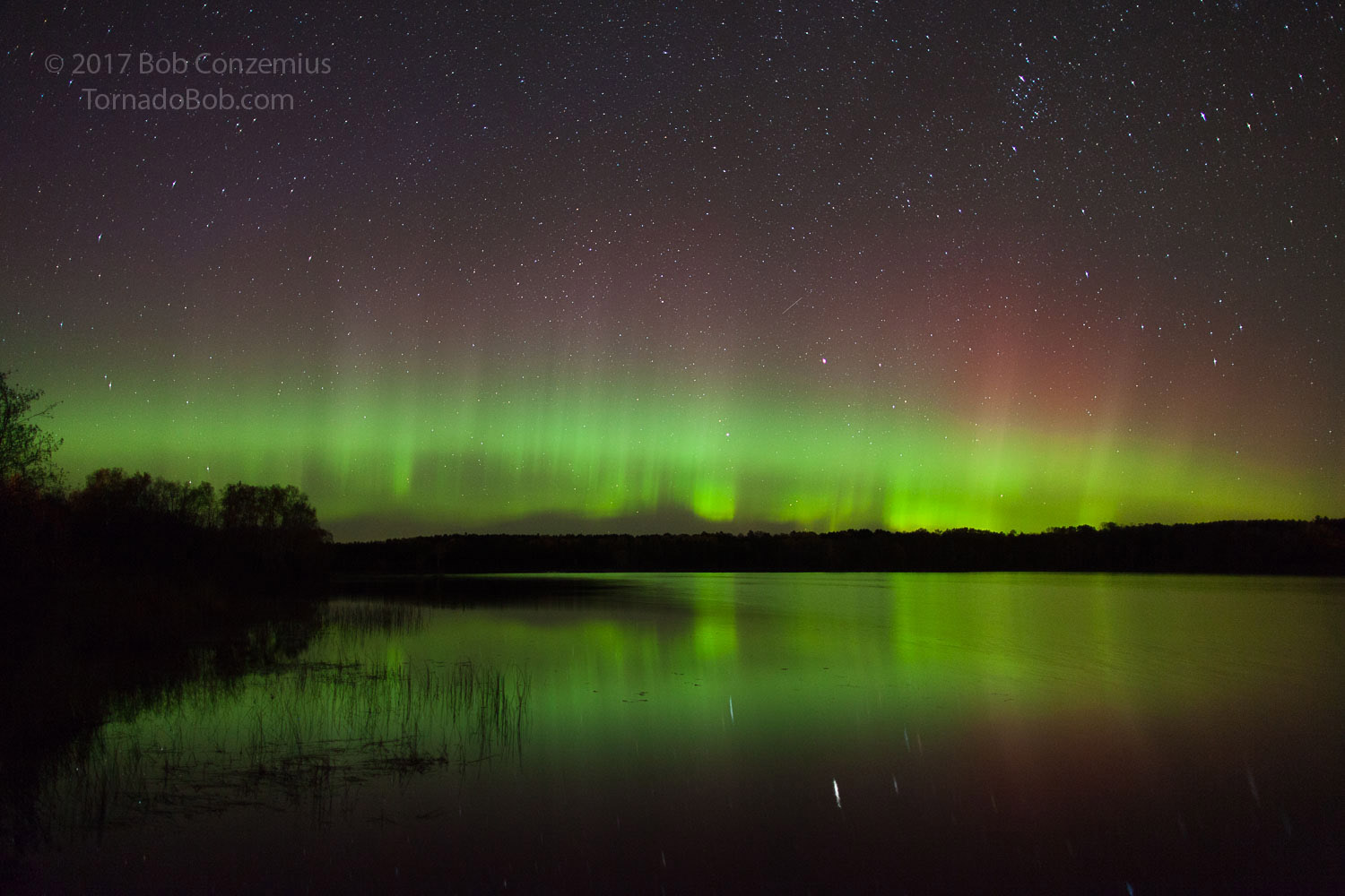 Nice Auroras