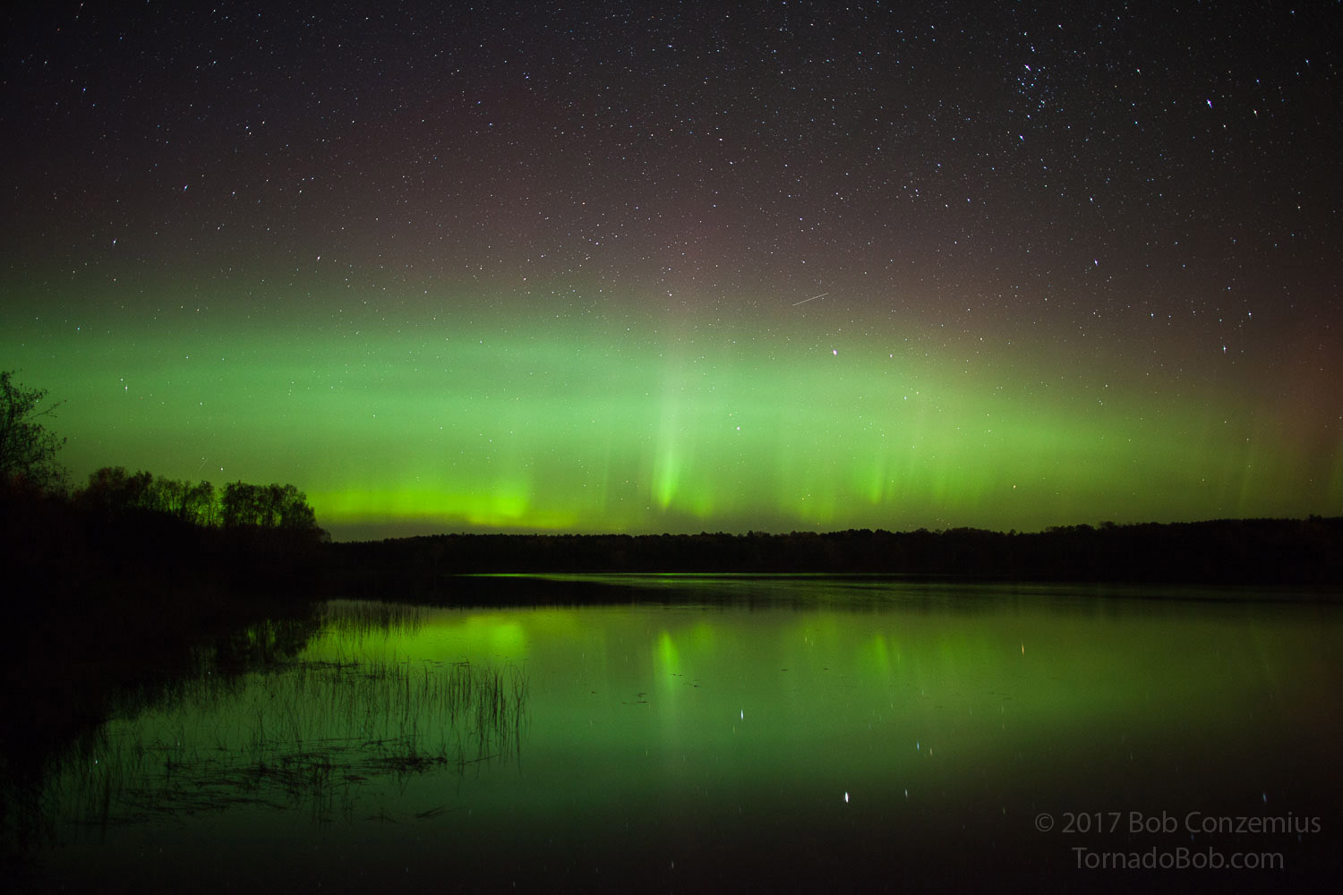 Nice Auroras