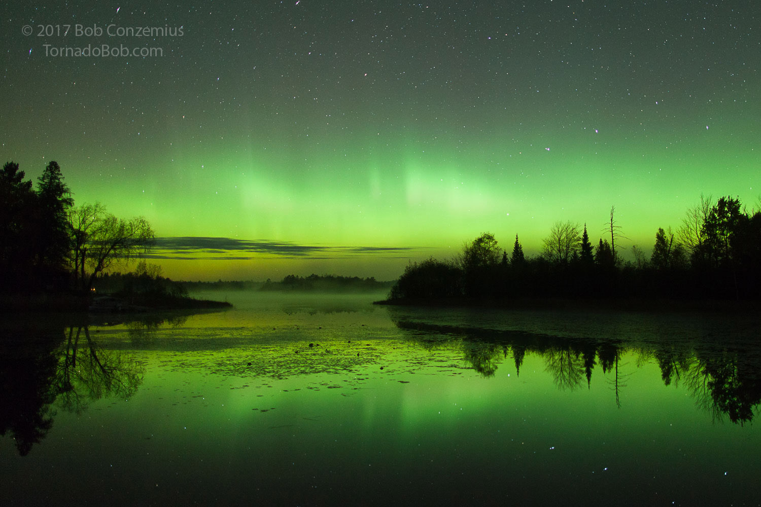Nice Auroras
