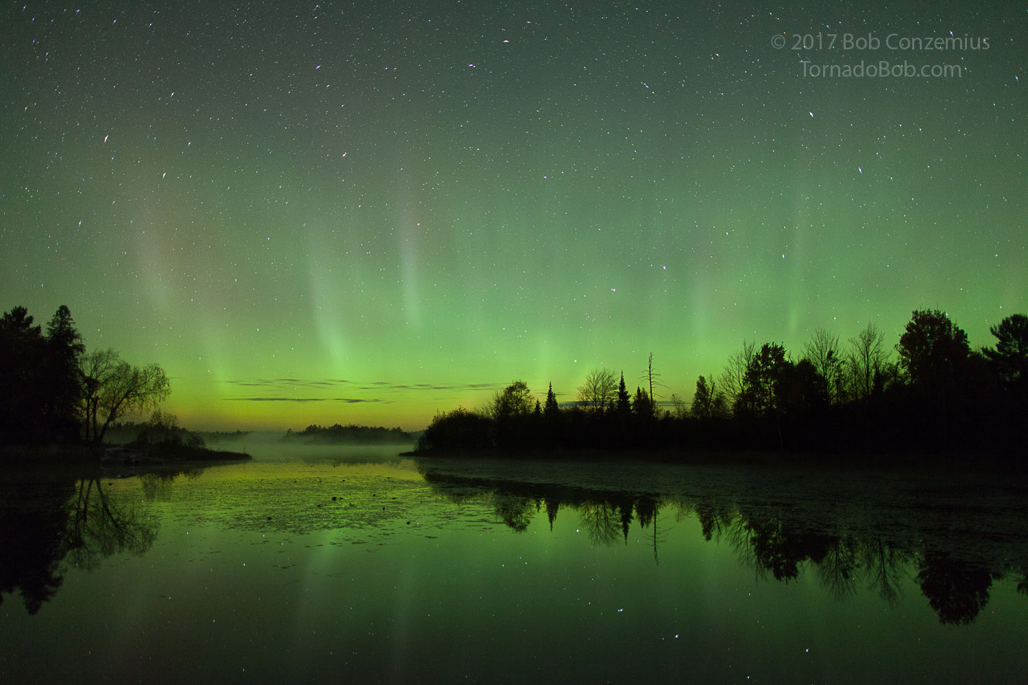 Nice Auroras