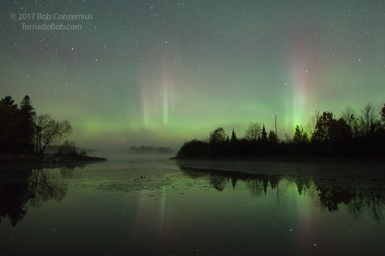 Nice Auroras