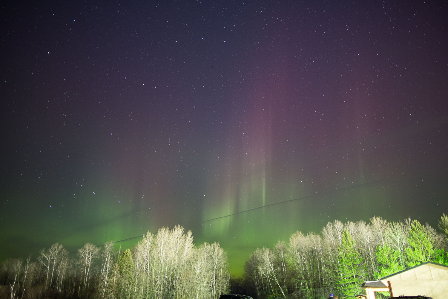 Nice Auroras