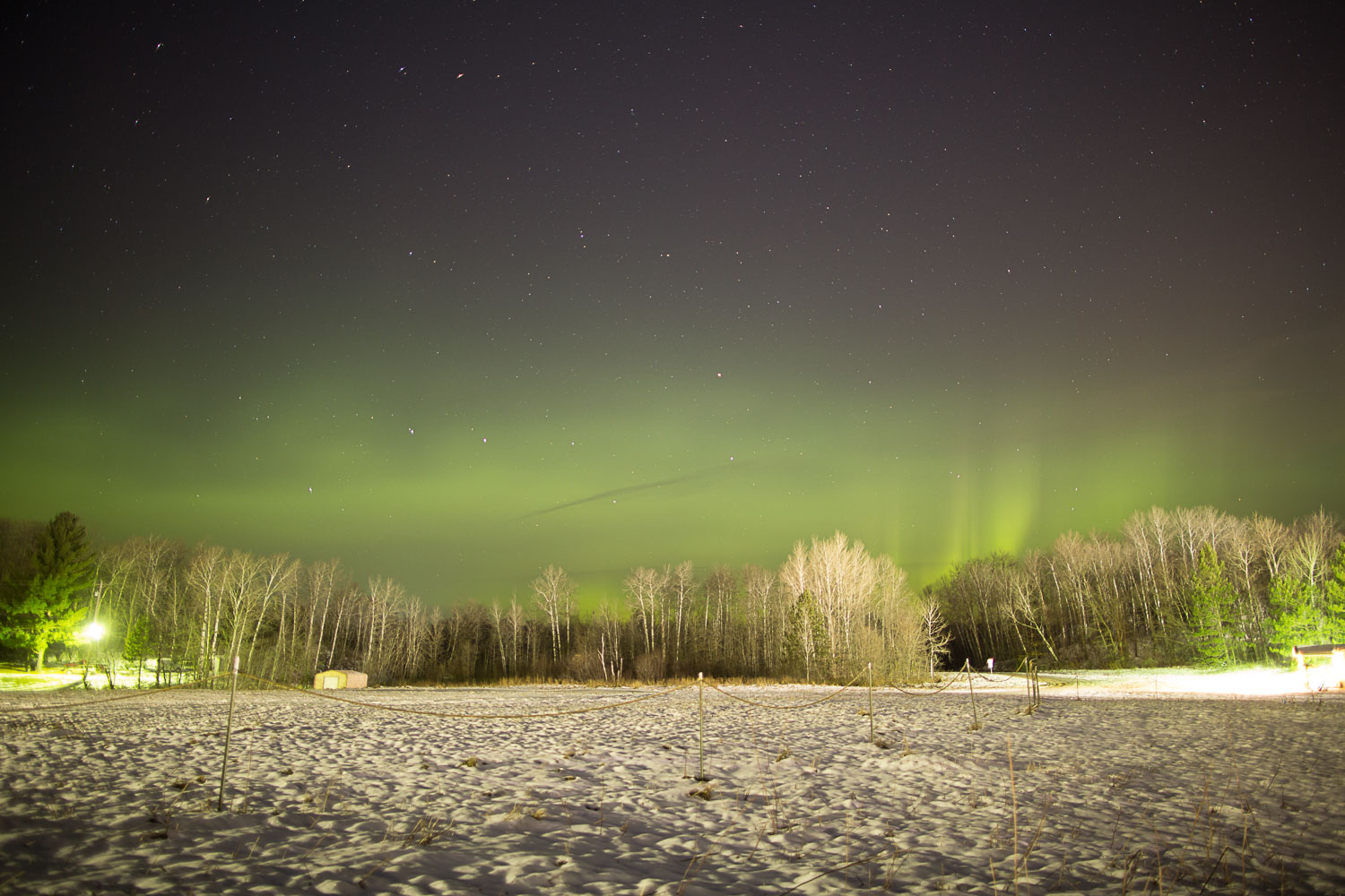 Nice Auroras
