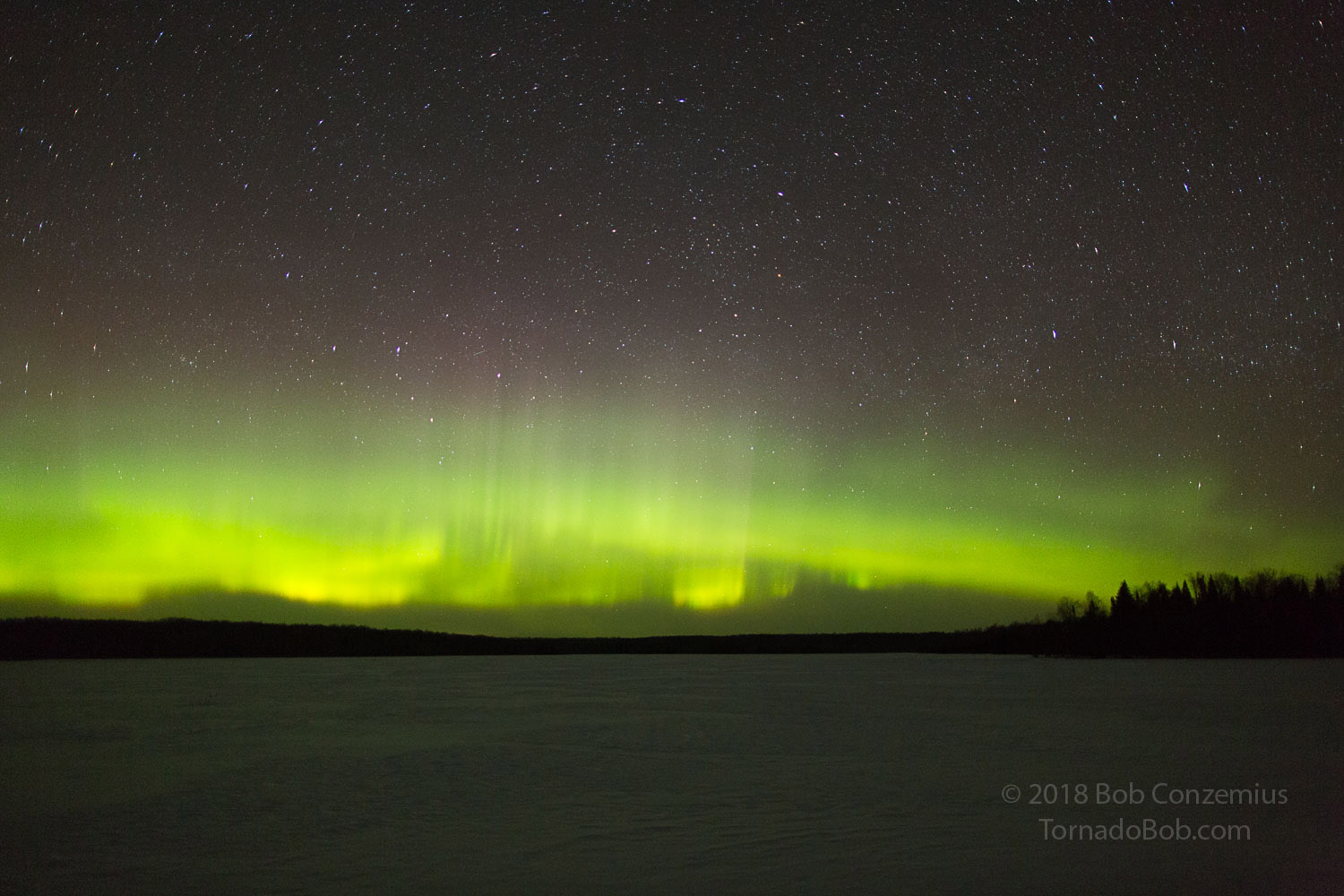 Nice Auroras