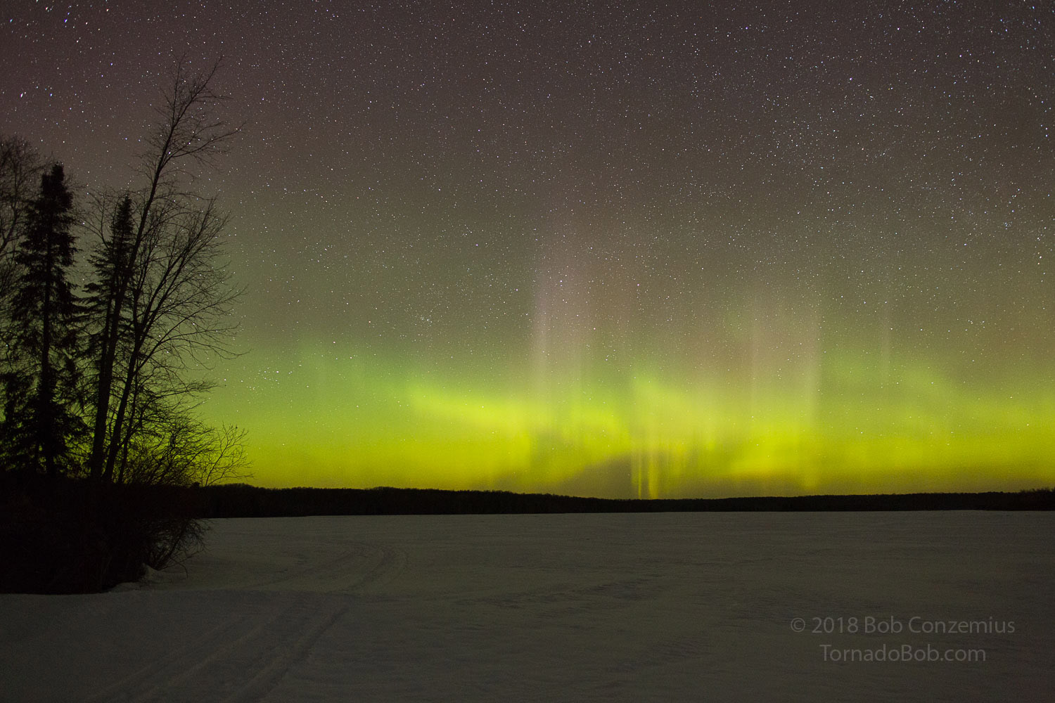 Nice Auroras