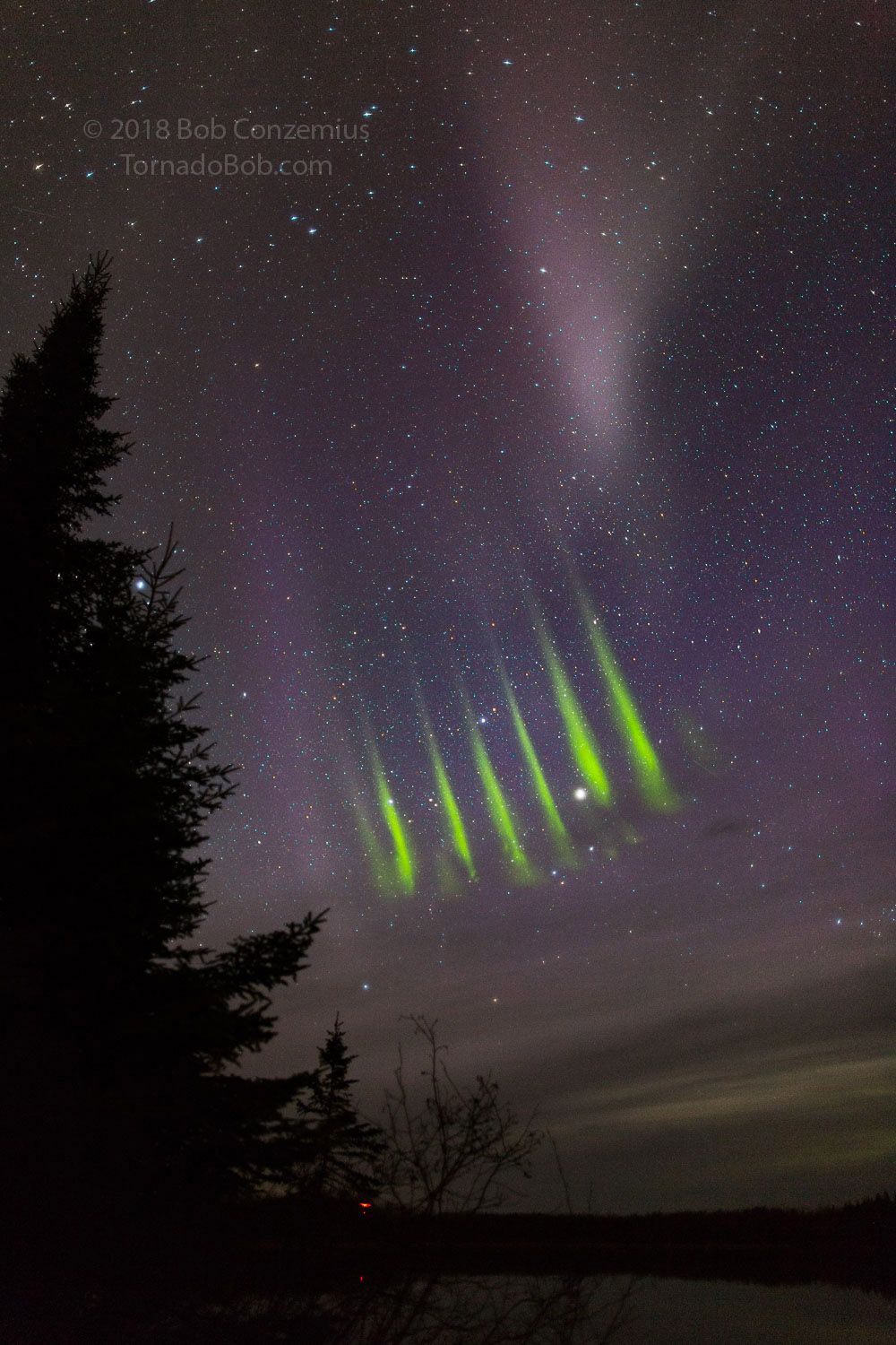 Nice Auroras