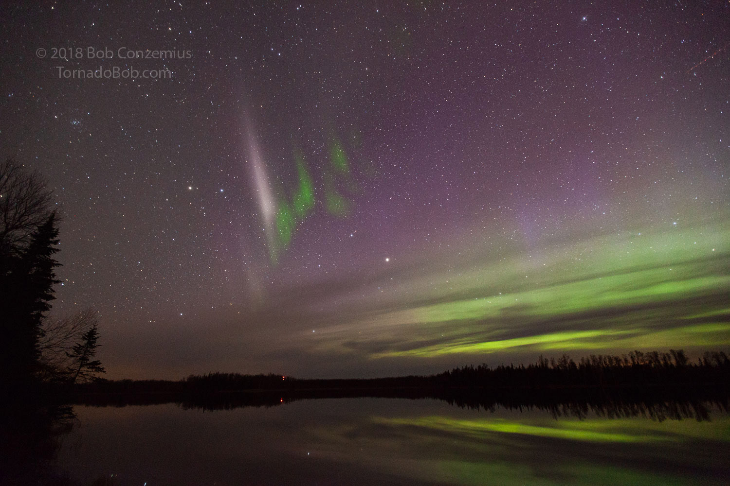 Nice Auroras