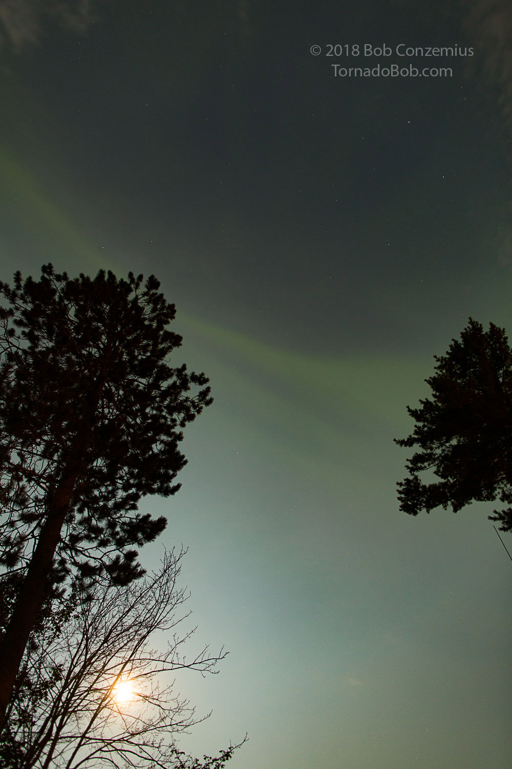 Nice Auroras