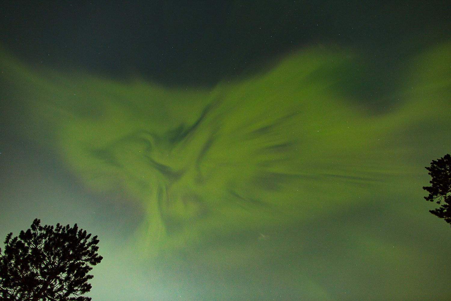 Nice Auroras