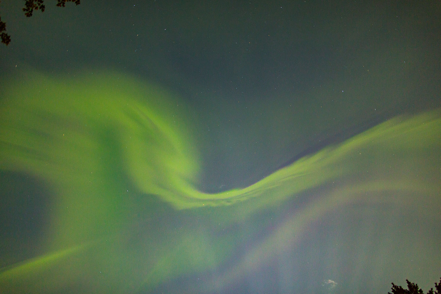 Nice Auroras
