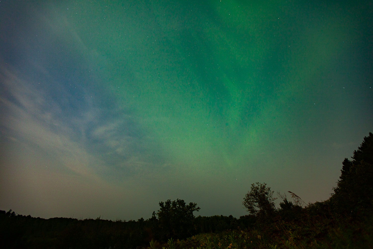 Nice Auroras
