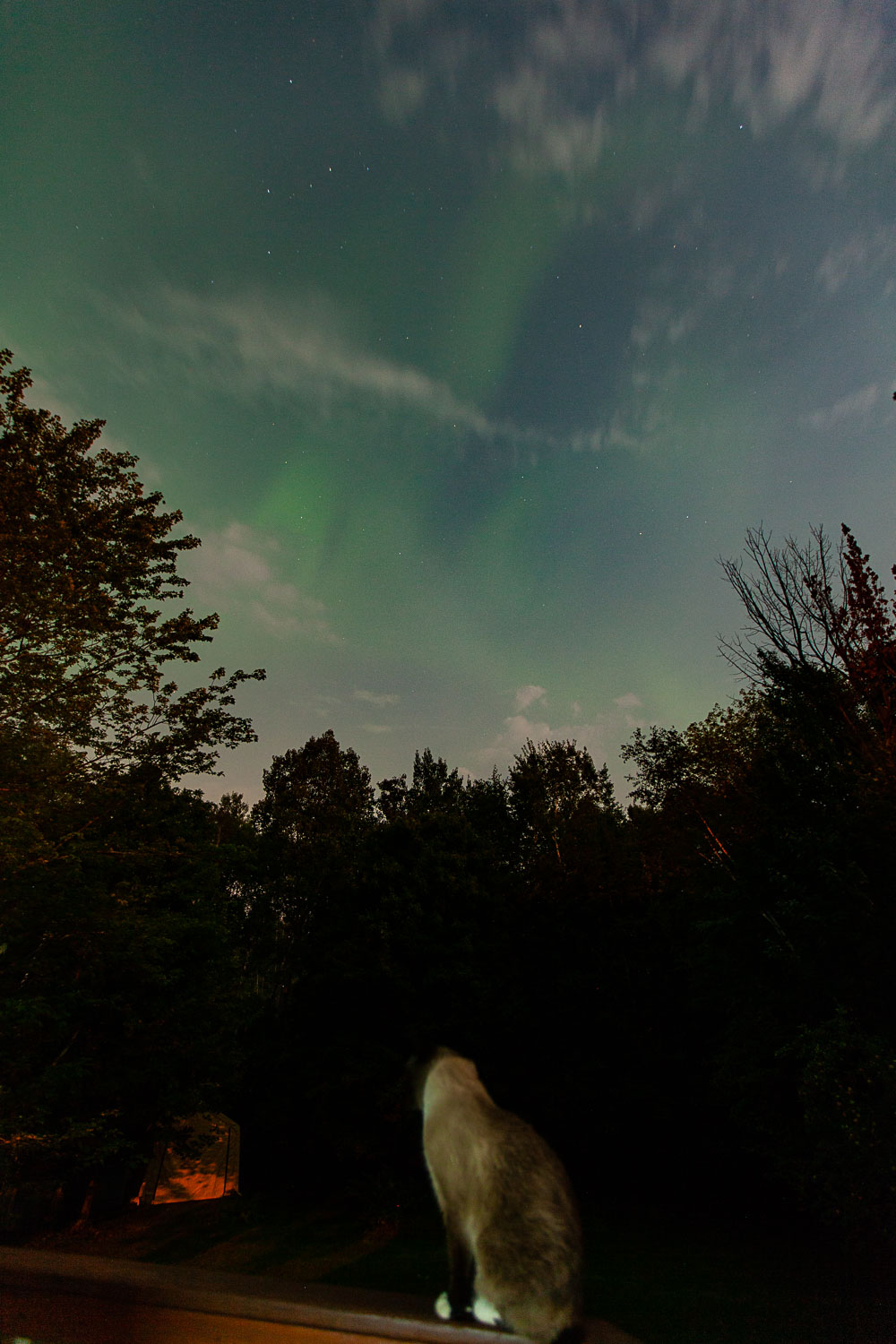 Nice Auroras