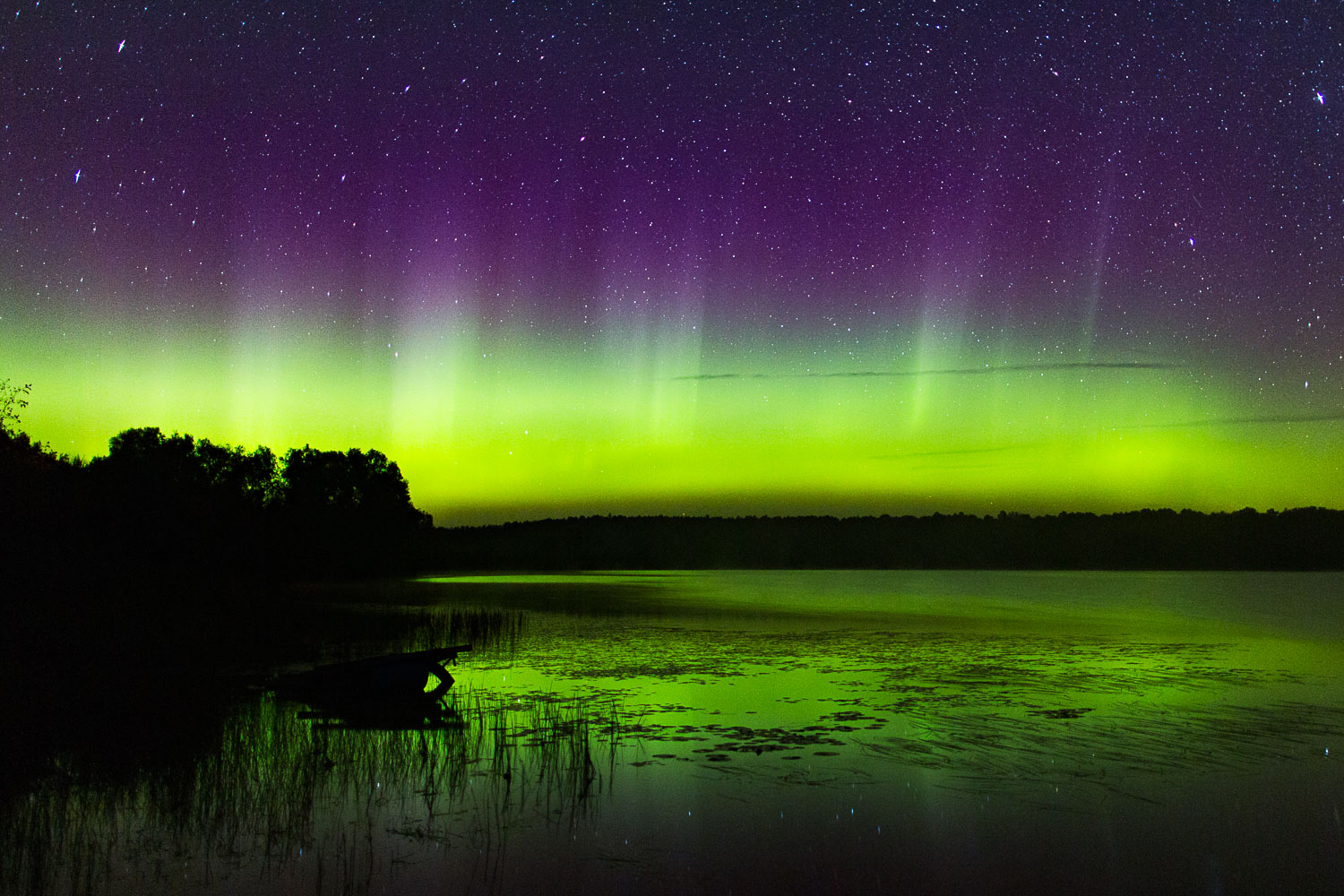 Nice Auroras
