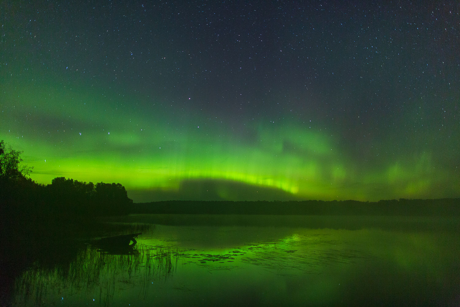 Nice Auroras