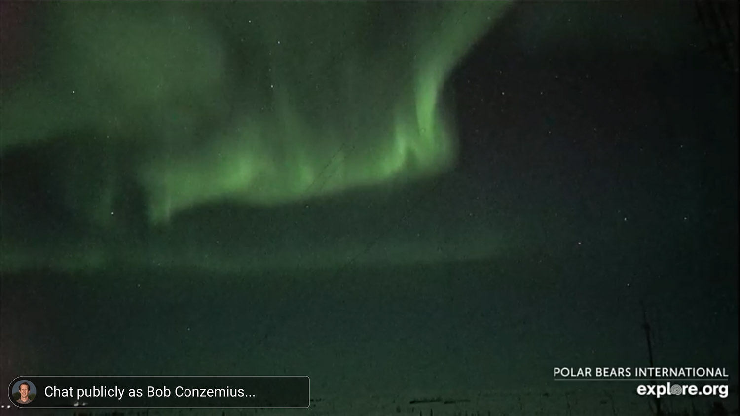 Nice Auroras