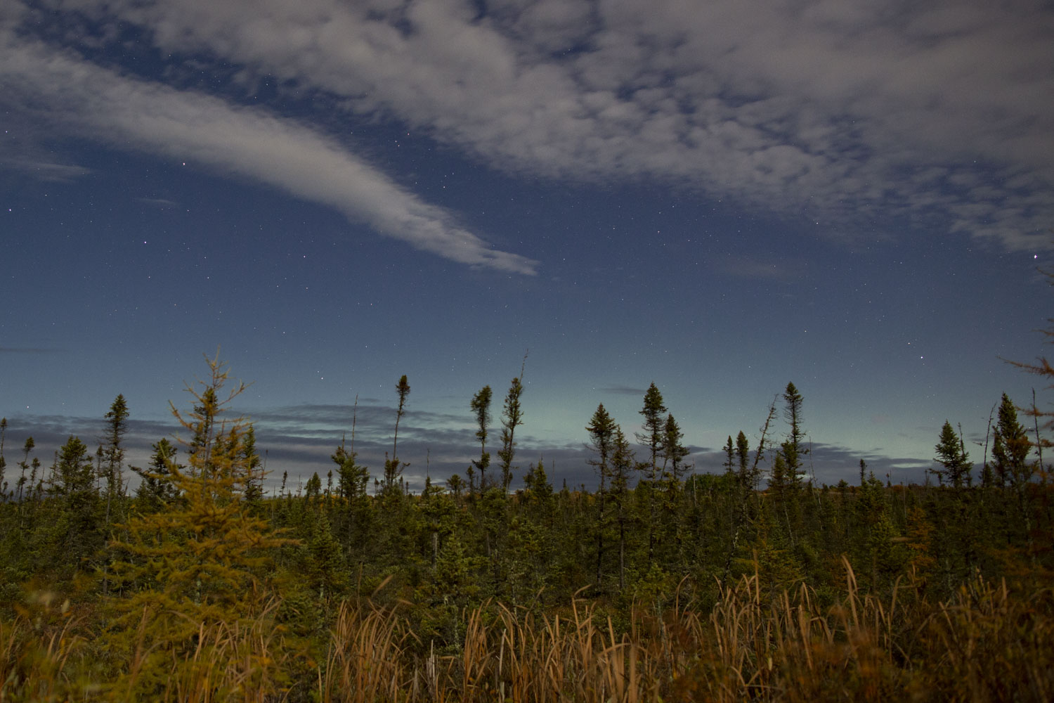 Nice Auroras