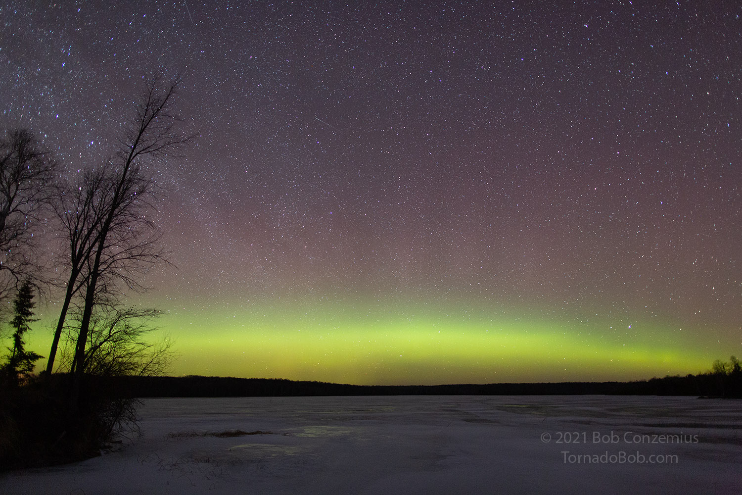 Nice Auroras