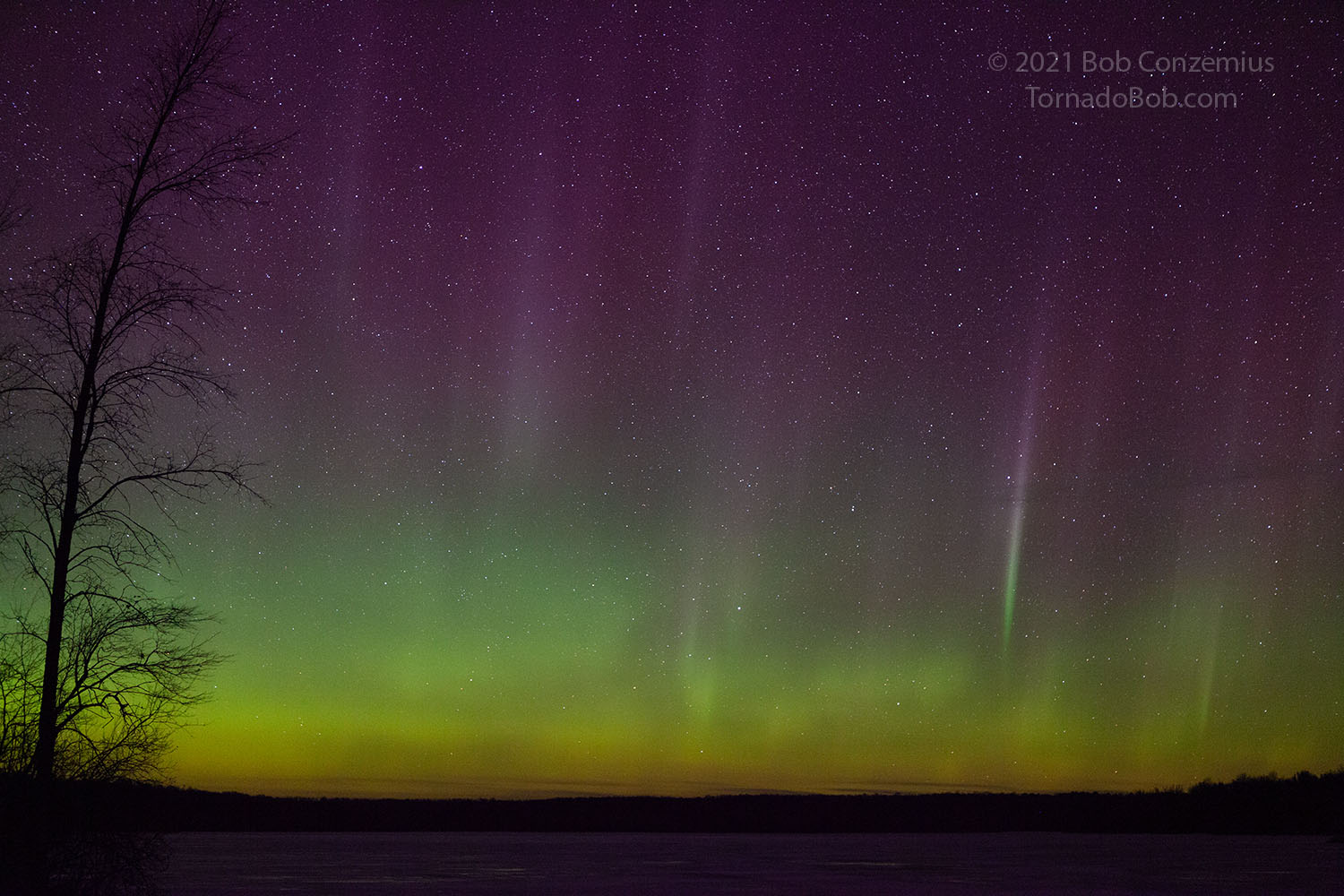 Nice Auroras