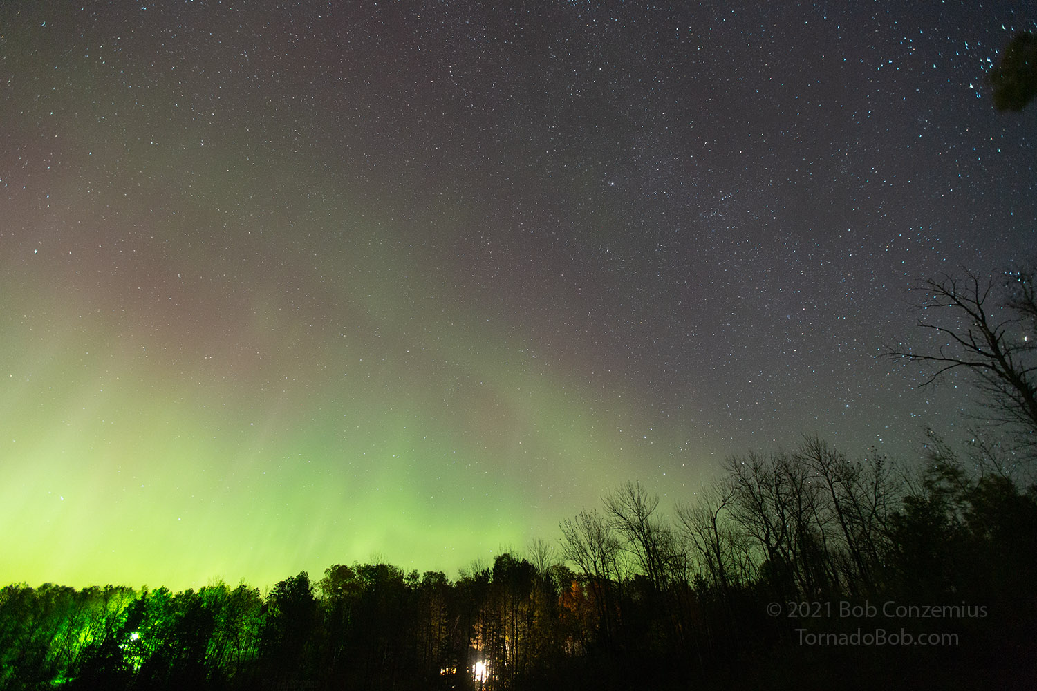 Nice Auroras