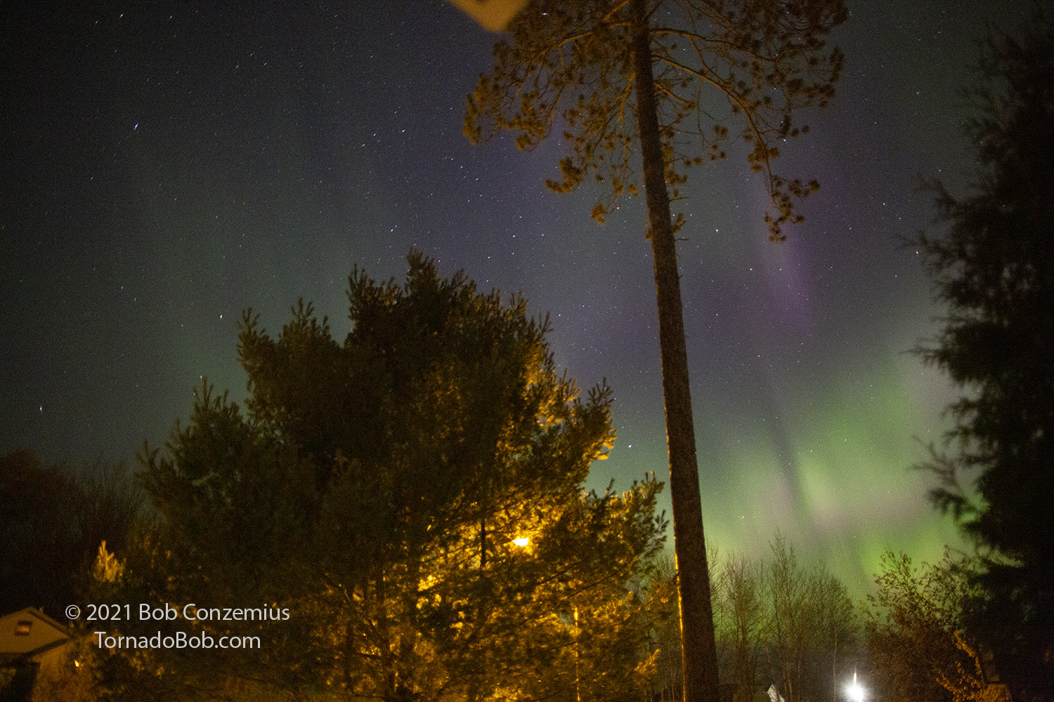 Nice Auroras