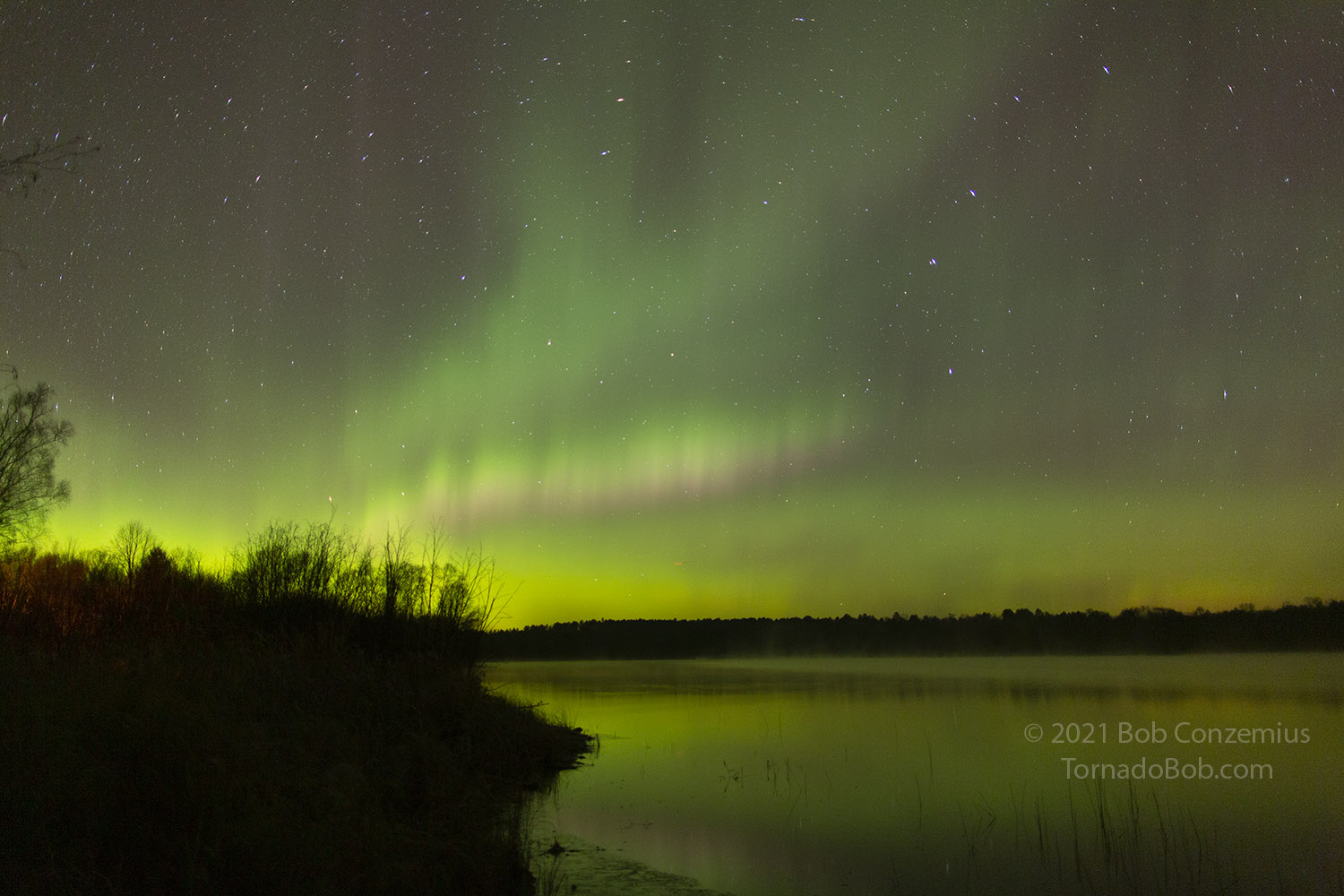 Nice Auroras