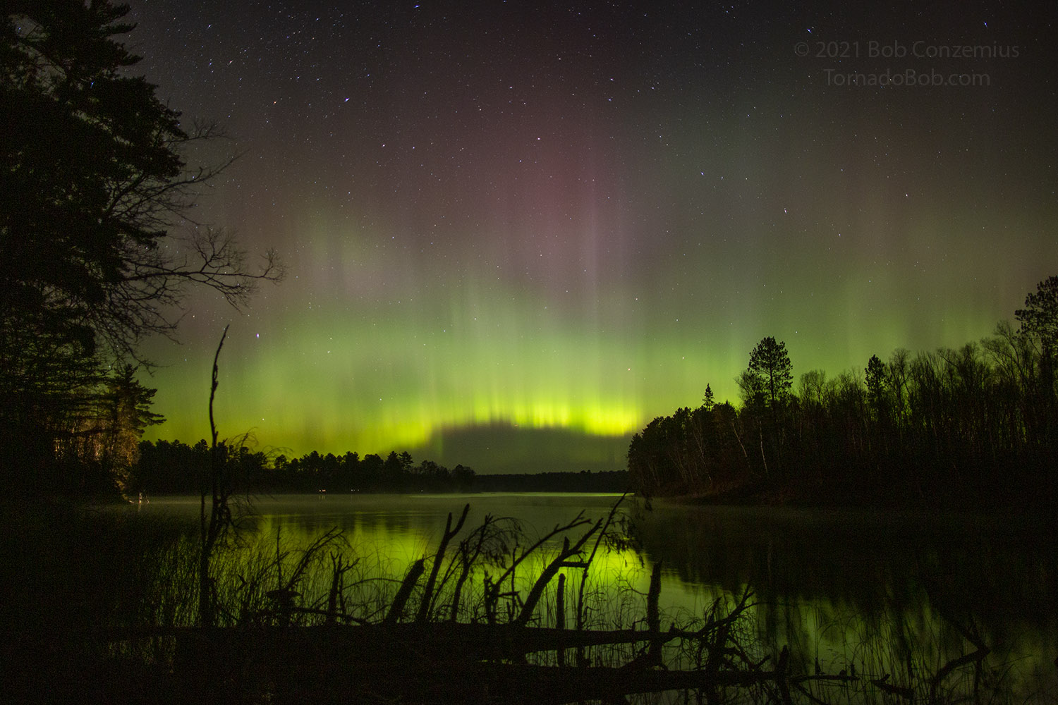 Nice Auroras