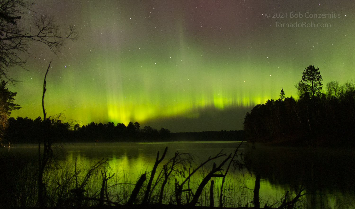 Nice Auroras