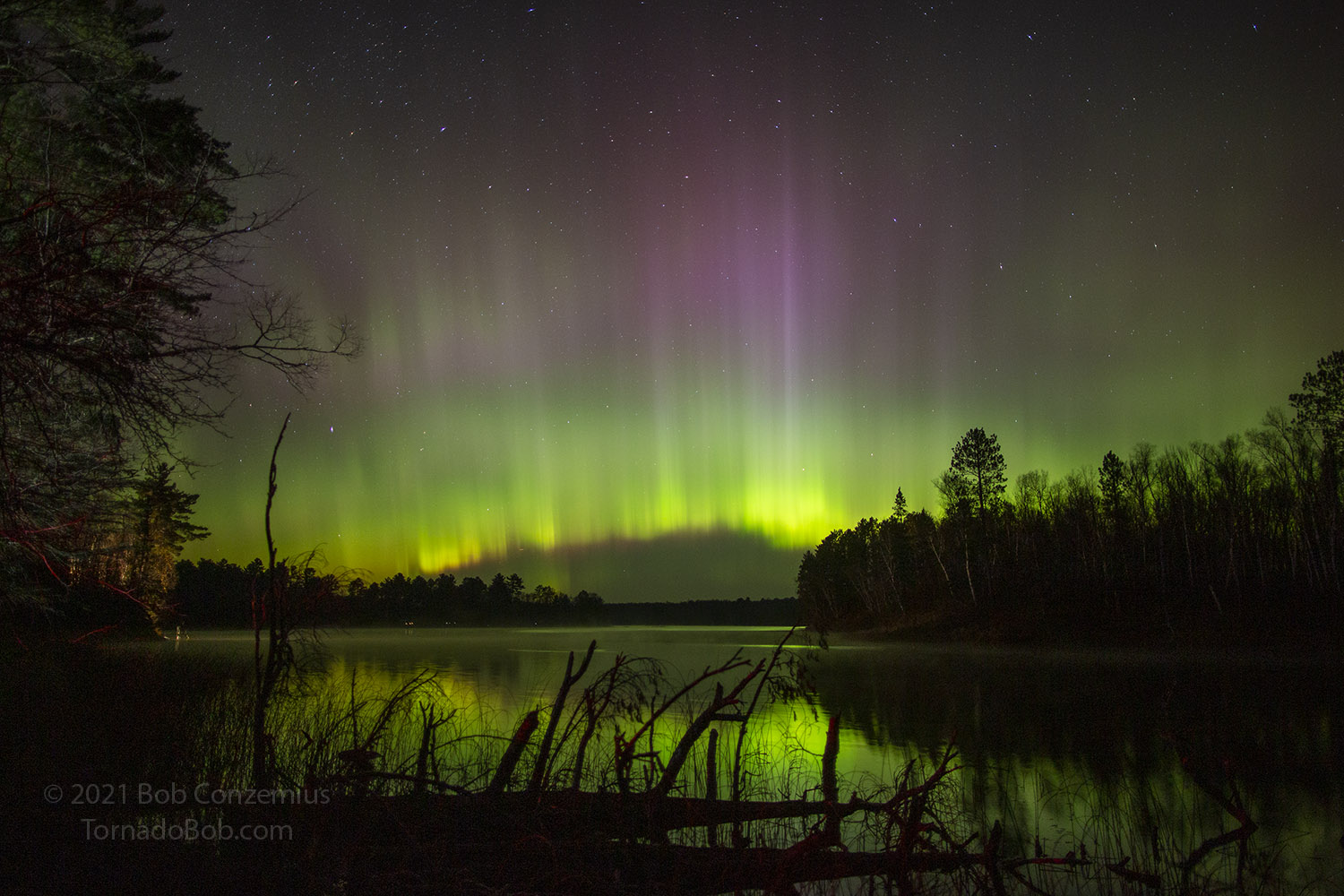 Nice Auroras