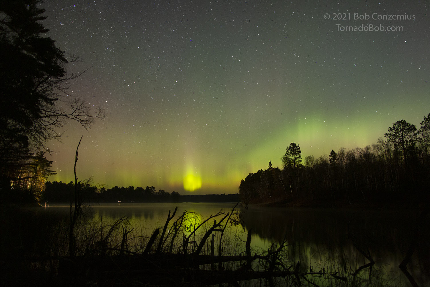 Nice Auroras