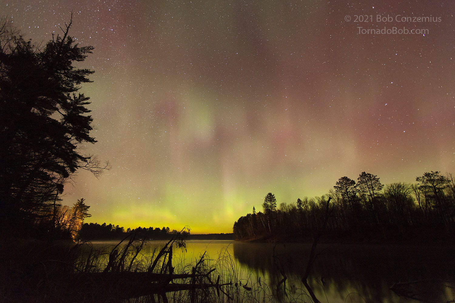 Nice Auroras