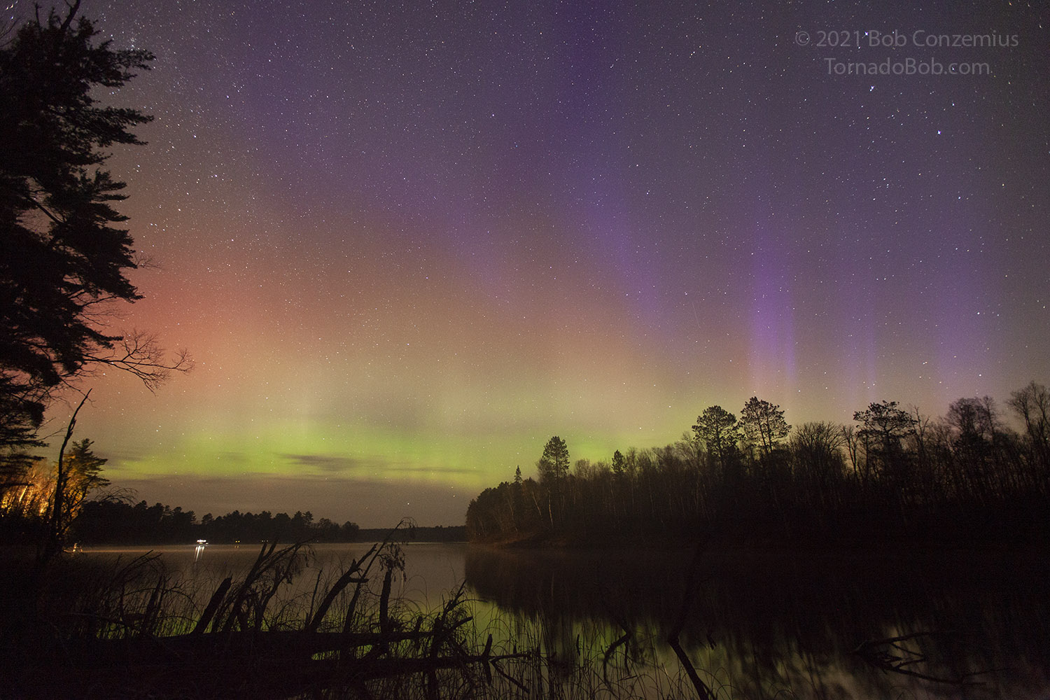Nice Auroras