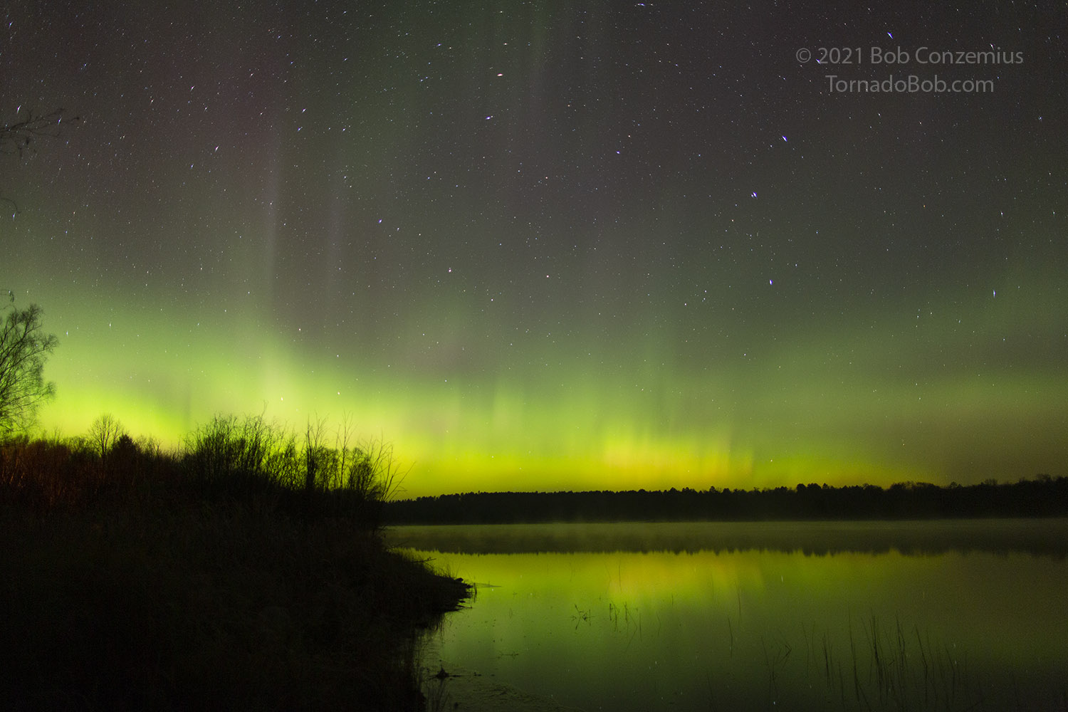Nice Auroras
