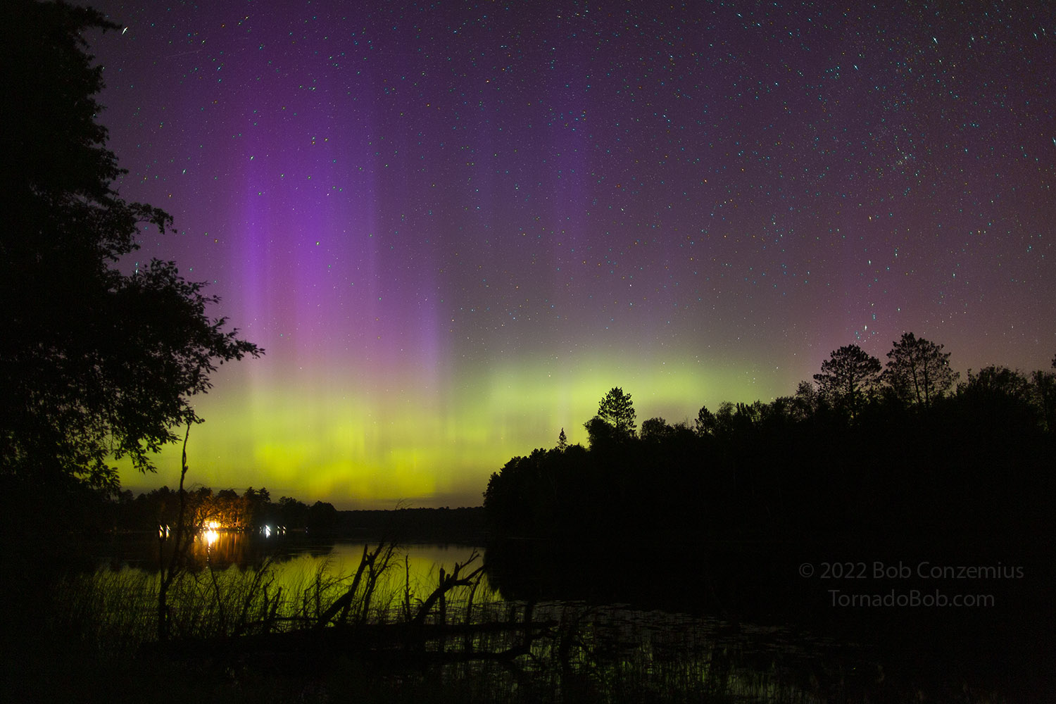 Nice Auroras