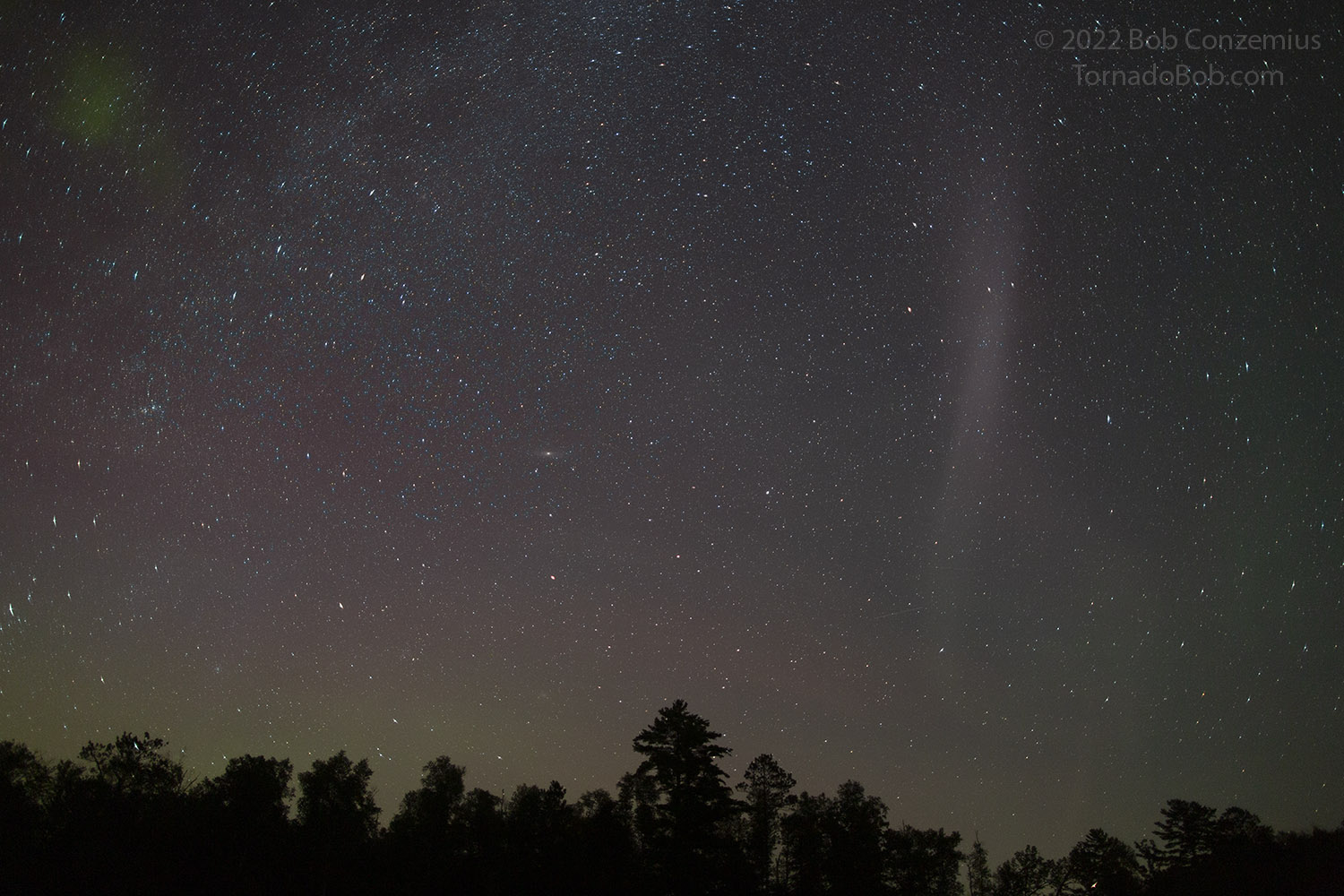 Nice Auroras