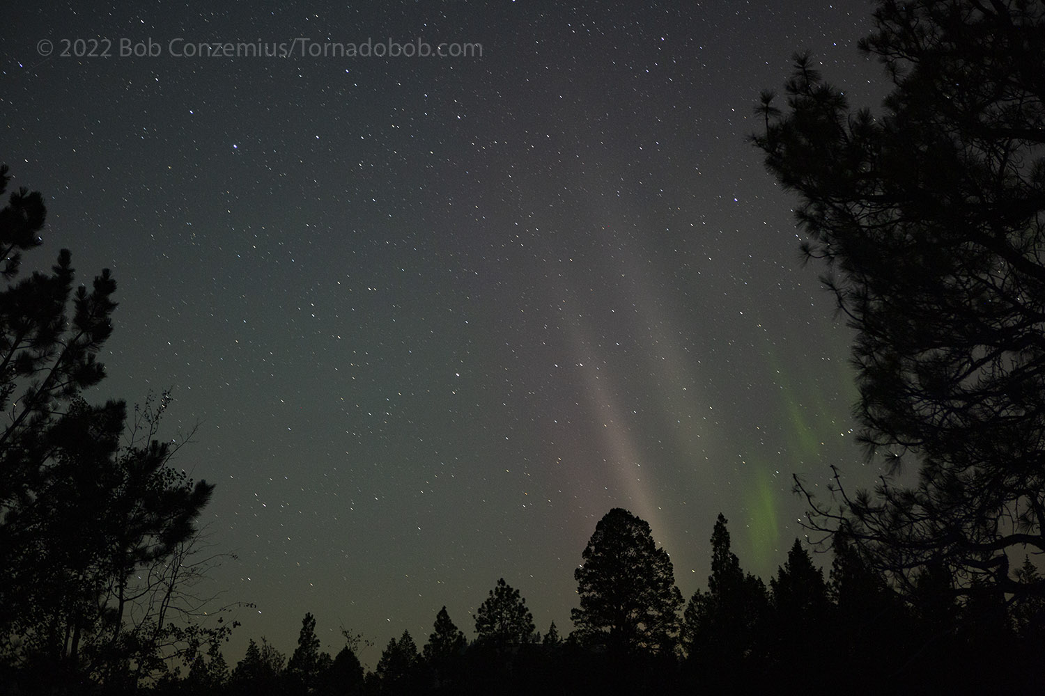 Nice Auroras