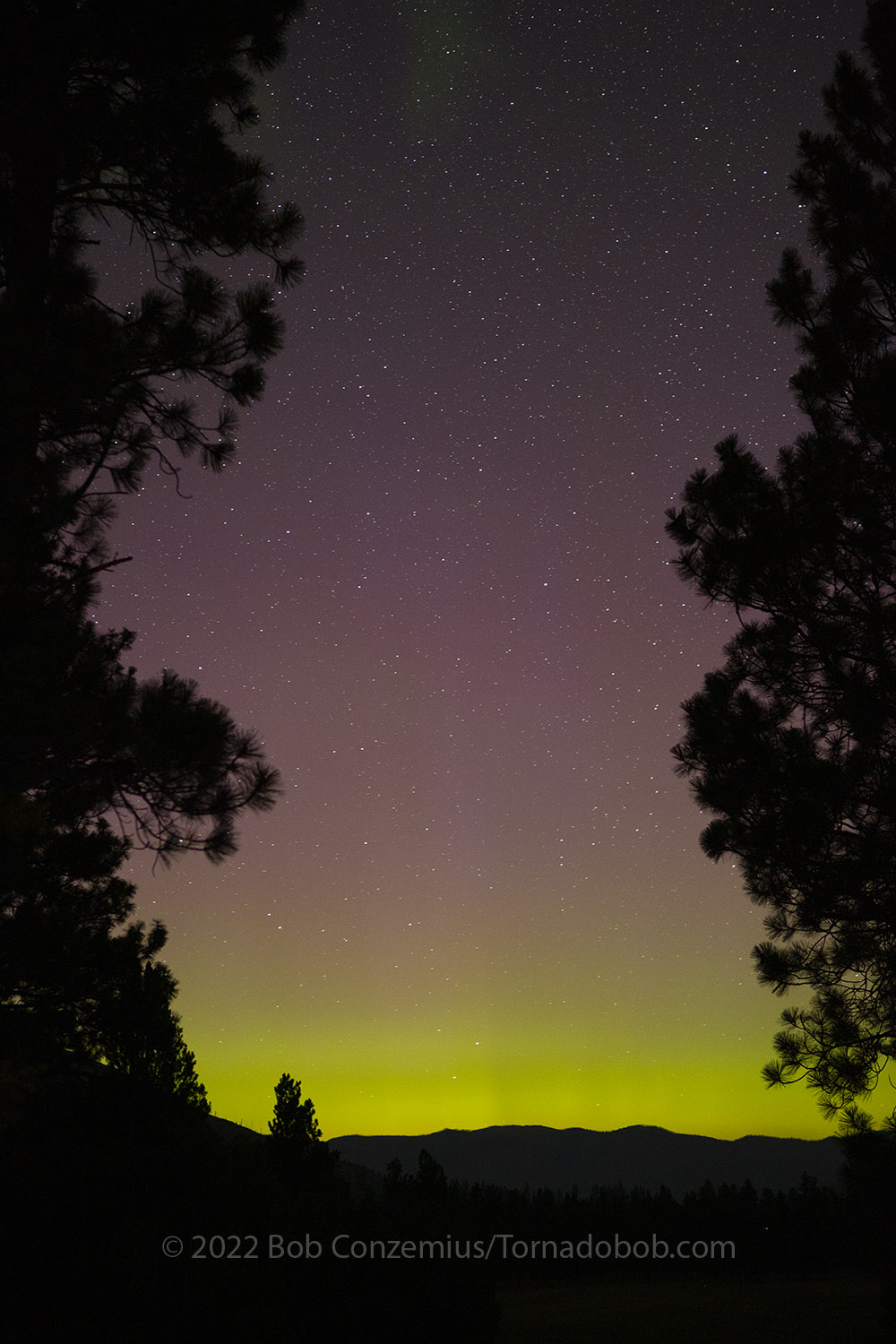 Nice Auroras