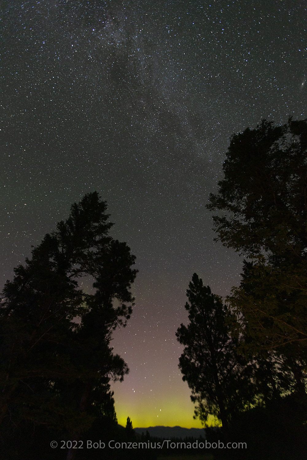 Nice Auroras