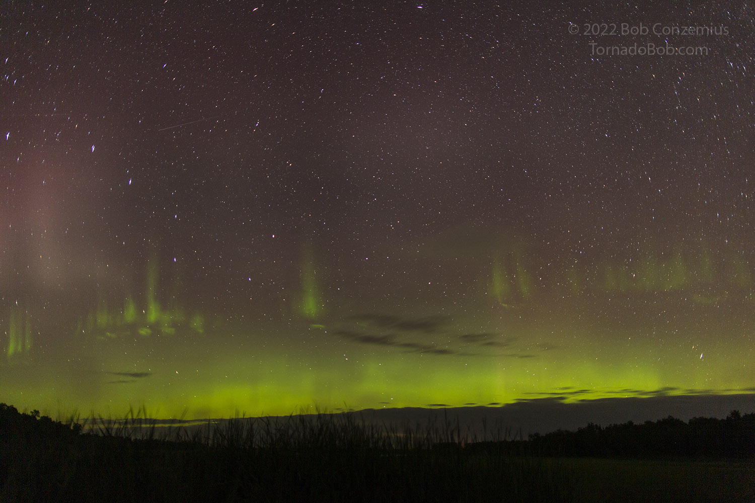 Nice Auroras