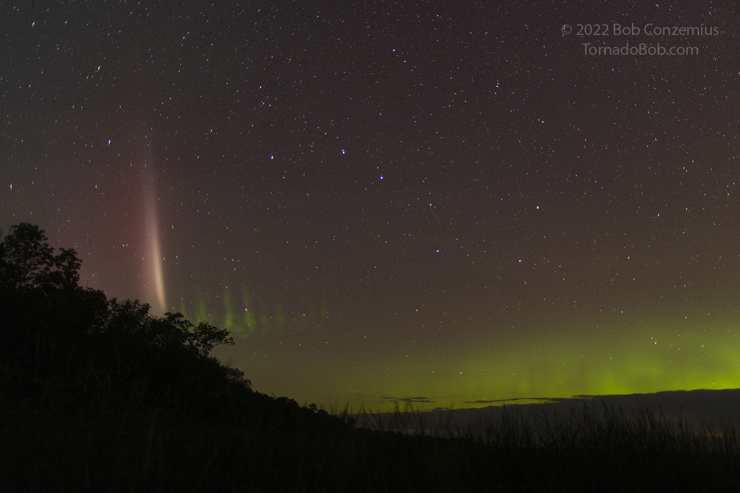 Nice Auroras