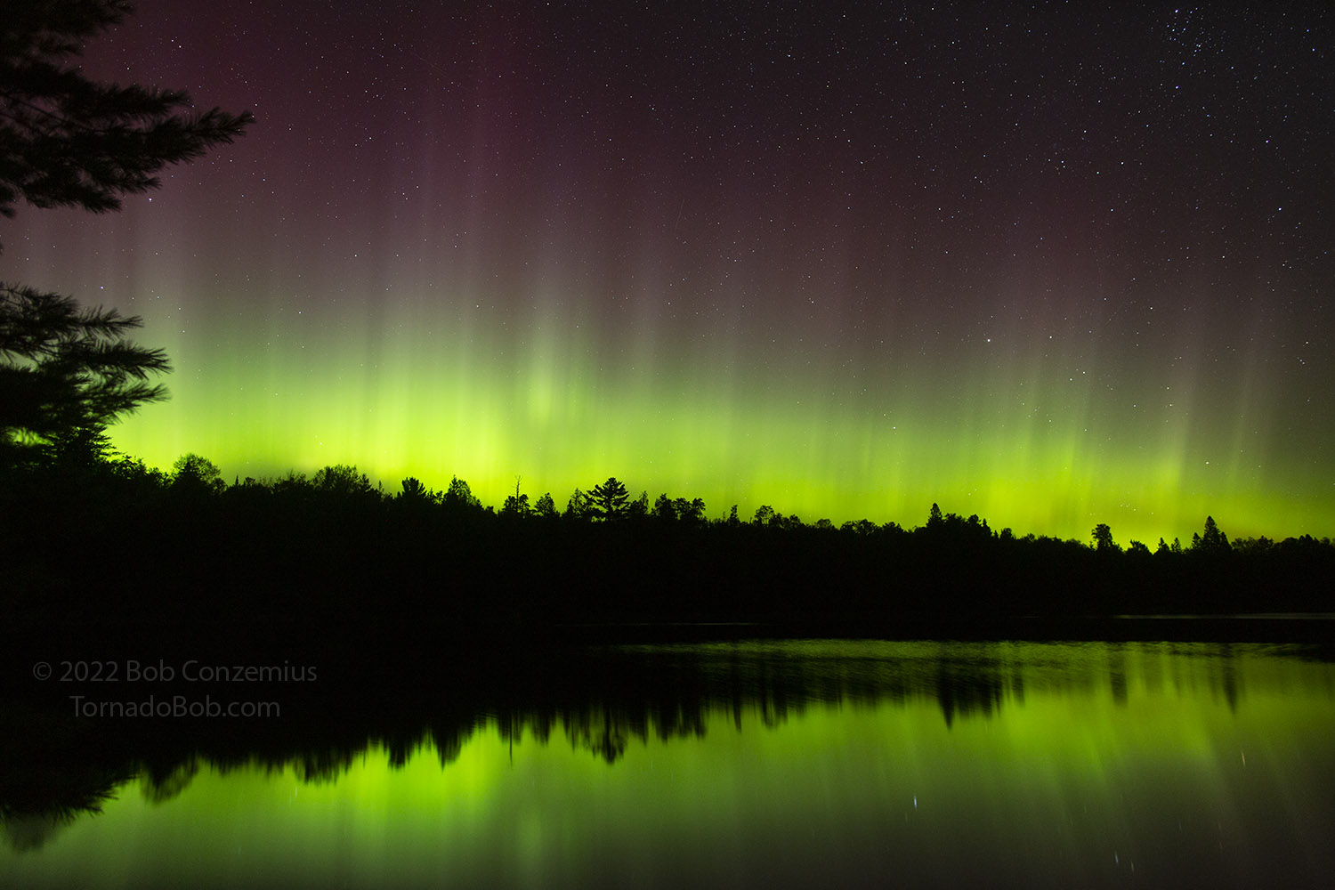 Nice Auroras