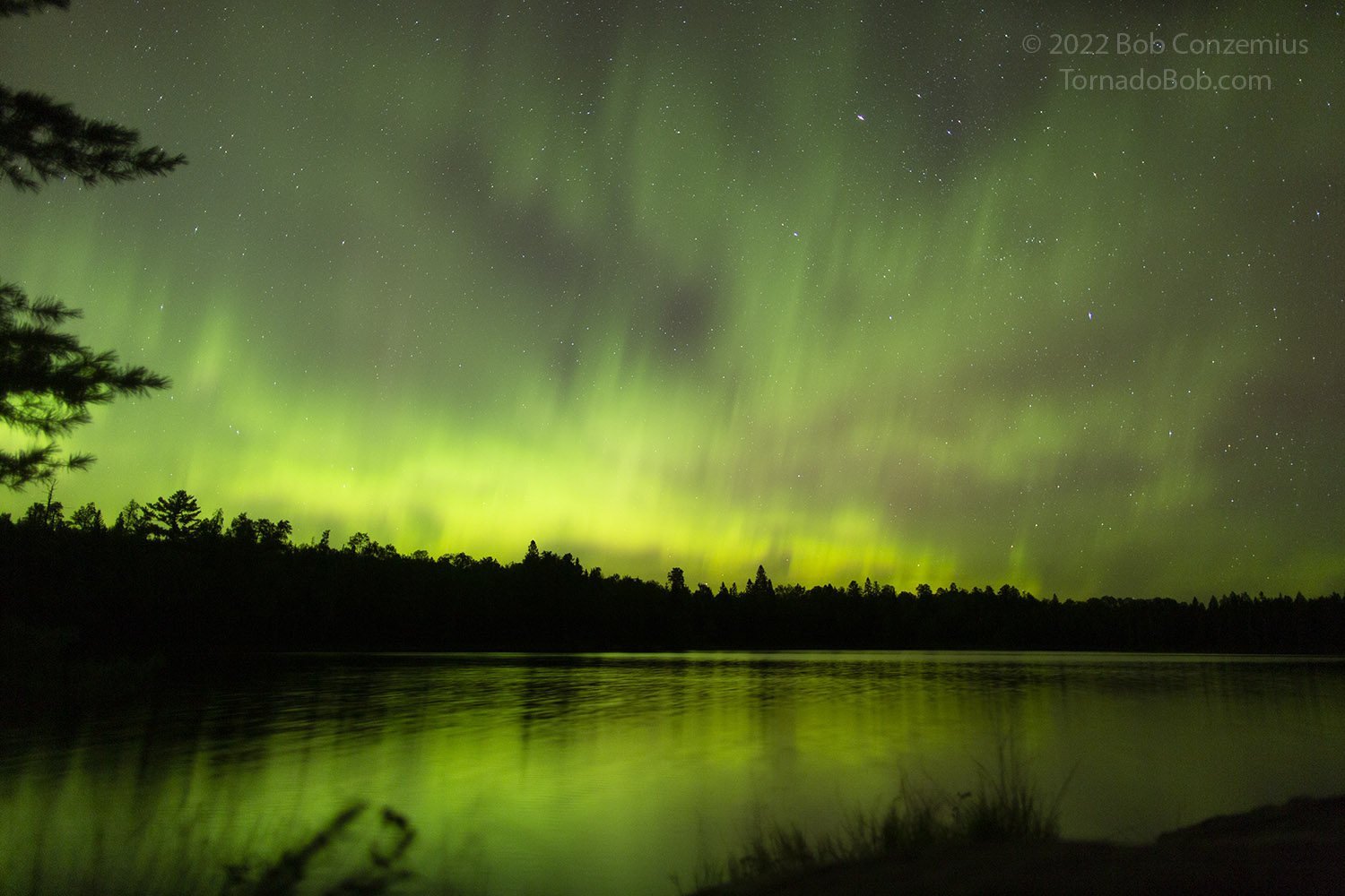 Nice Auroras