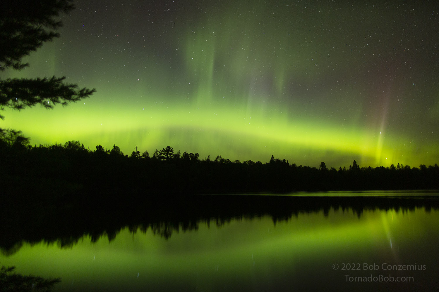 Nice Auroras